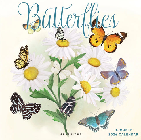 2026 BUTTERFLIES 12X12 WALL CALENDAR